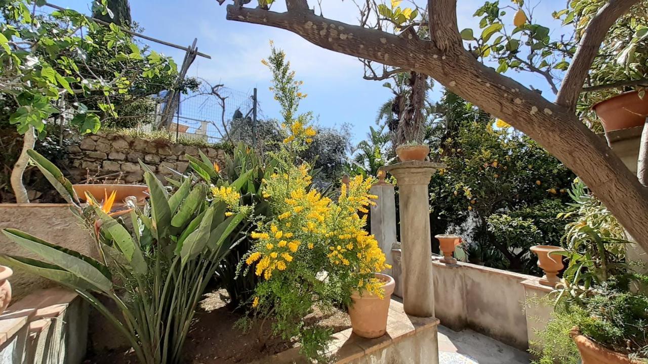 Villa Dorothee Capri Exteriér fotografie
