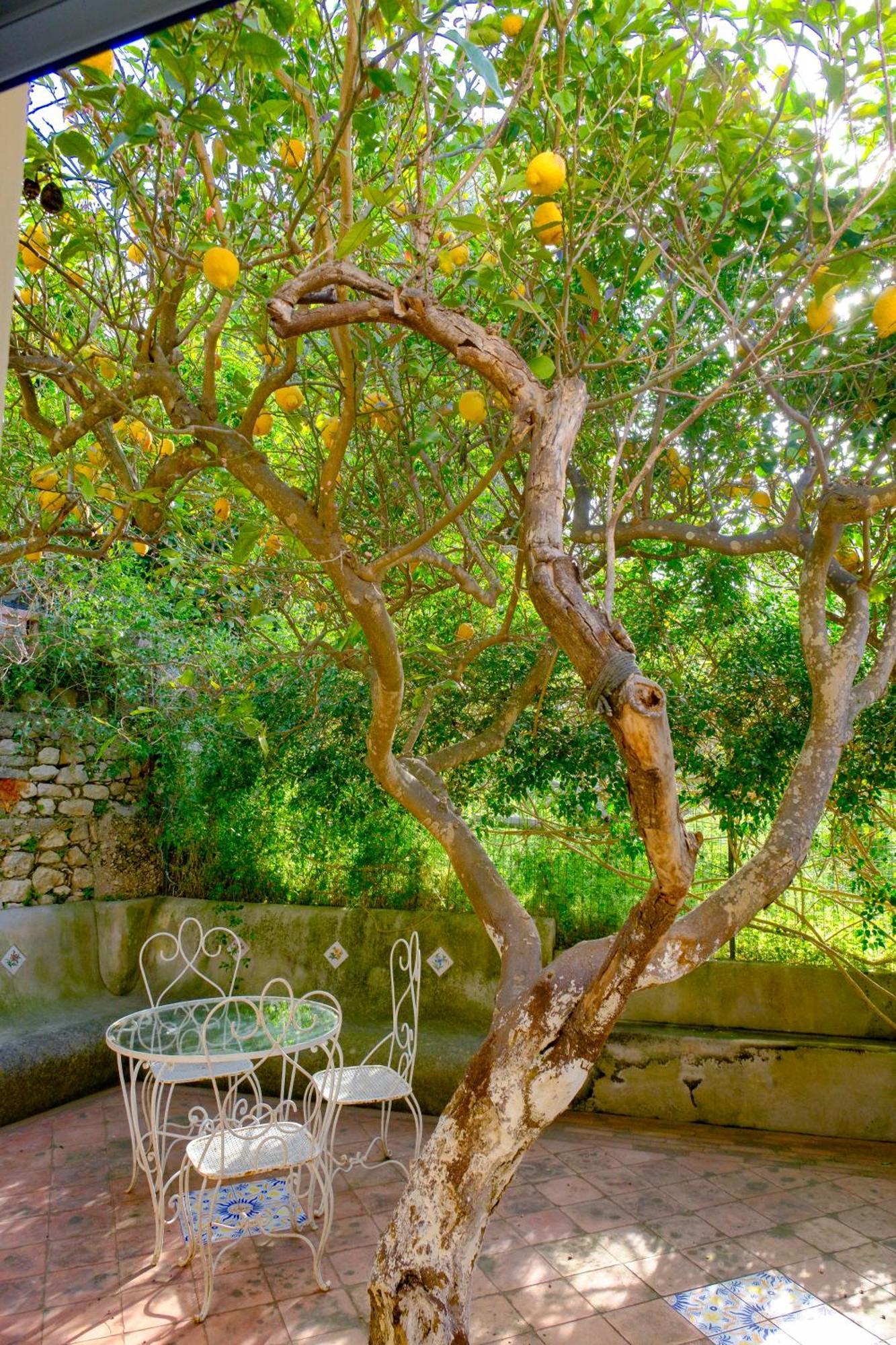 Villa Dorothee Capri Exteriér fotografie